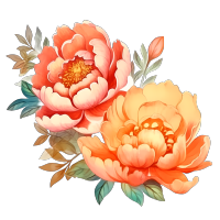 橙色牡丹花国风风格花卉PNG素材
