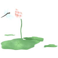 唯美荷花蜻蜓透明背景插画