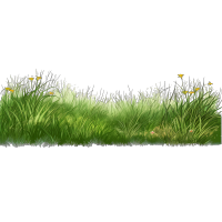 透明背景平面图形草坪插画设计素材