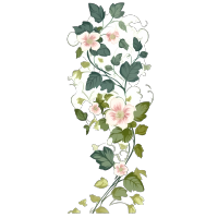 手绘花藤PNG图形素材