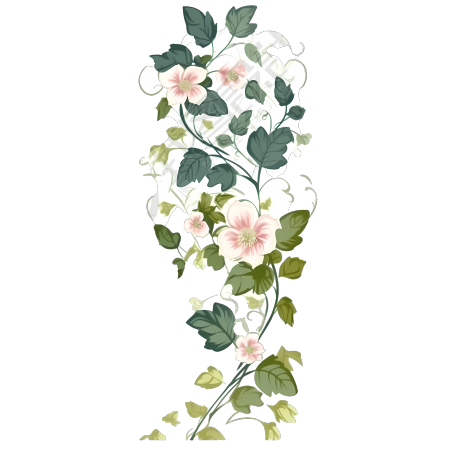 手绘花藤PNG图形素材