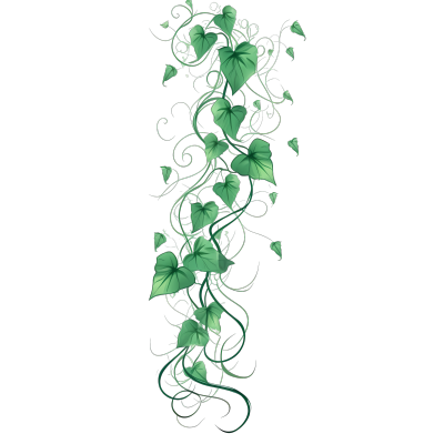 手绘绿色藤蔓PNG图形素材