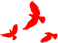 红鸽子剪影