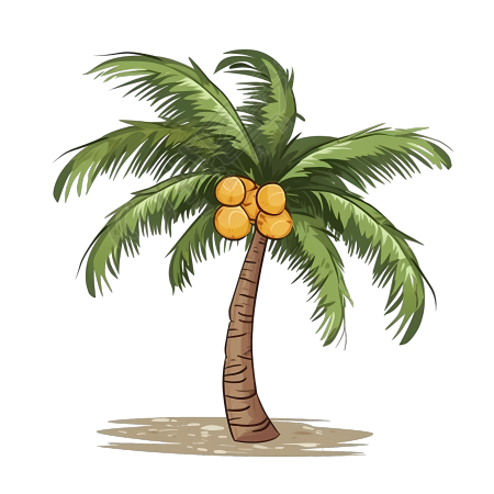 手绘平面插画透明背景椰子树插画