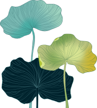 色彩不一的荷叶插画素材