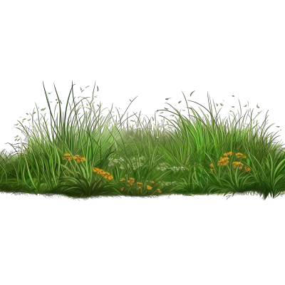 手绘草坪透明PNG高清素材