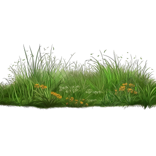手绘草坪透明PNG高清素材
