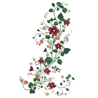 手绘花藤插画素材PNG透明背景