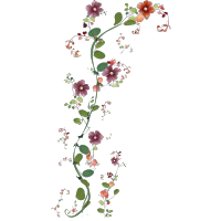 手绘花草图案PNG素材