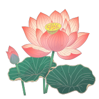 透明背景荷花PNG图形素材