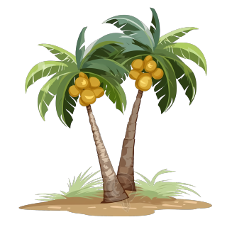 手绘椰树PNG透明背景图形素材