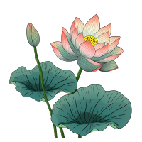手绘荷花PNG图形素材