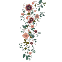 手绘花草插画PNG素材