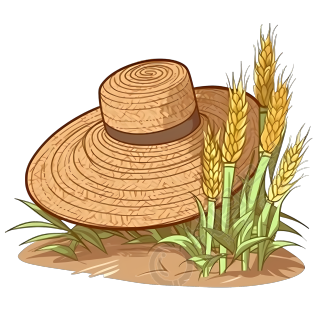 手绘平面插画素材-麦穗和草帽