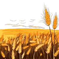 手绘扁平插画设计元素PNG素材