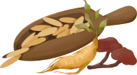 中草药人参灵芝插画PNG元素