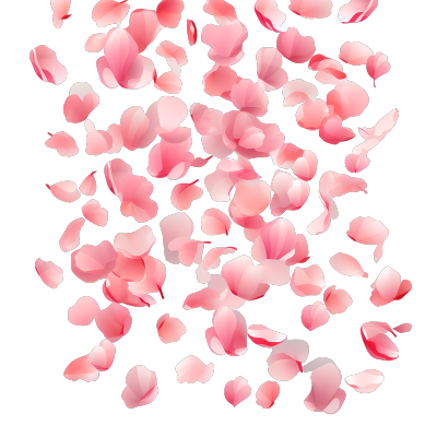 透明背景粉色花瓣素材