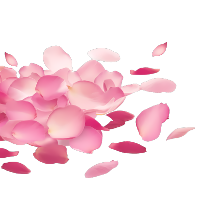 粉色花瓣透明背景PNG元素