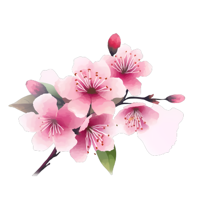 粉红樱花插画设计