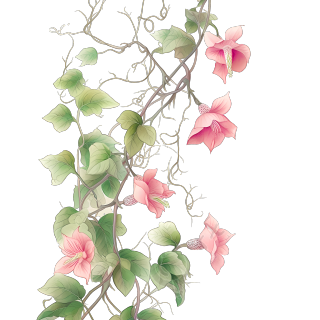 唐妆风格水粉画-粉色藤蔓与粉色花朵
