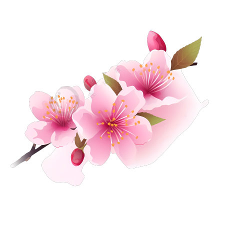 白色背景上的粉色樱花插画