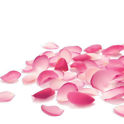 粉色花瓣创意设计高清PNG图形素材