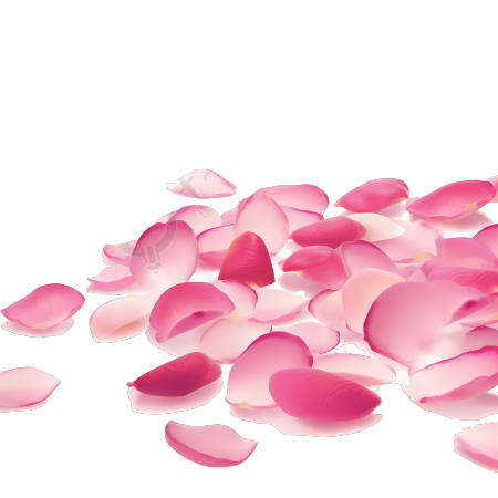 粉色花瓣创意设计高清PNG图形素材