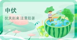 中伏