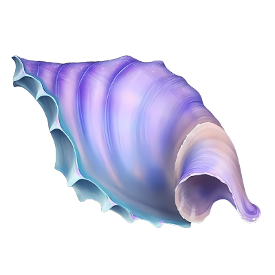 海岸绘制PNG透明背景的紫色和蓝色的海螺贝壳动态GIF素材