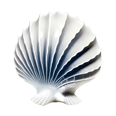 海岸景观白色贝壳形状PNG剪贴画