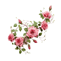 透明背景花束插画设计元素