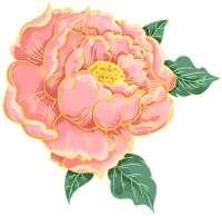 雍容华贵的牡丹花PNG插画