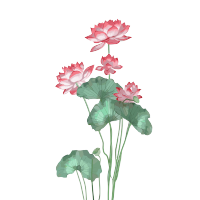 透明背景粉色莲花高清图形素材