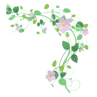 透明背景的花藤矢量插画