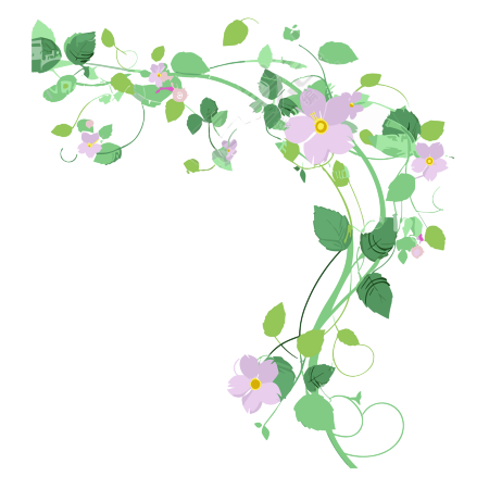 透明背景的花藤矢量插画