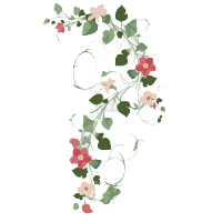 花边花藤矢量图