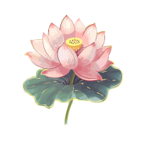 荷花插画元素