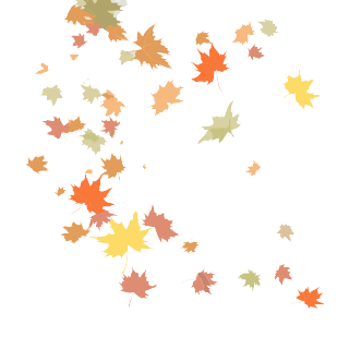 彩色的落叶透明背景的插画