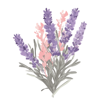 花束插画-透明背景-高清-创意设计