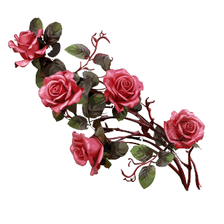 纹理丰富的花束玫瑰动态GIF素材