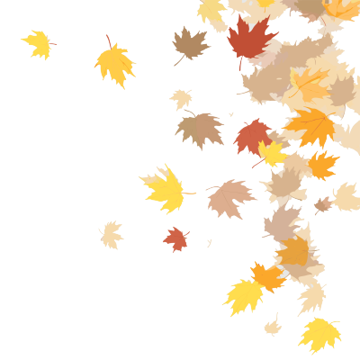 秋天的落叶透明背景高清图形素材