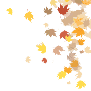 秋天的落叶透明背景高清图形素材