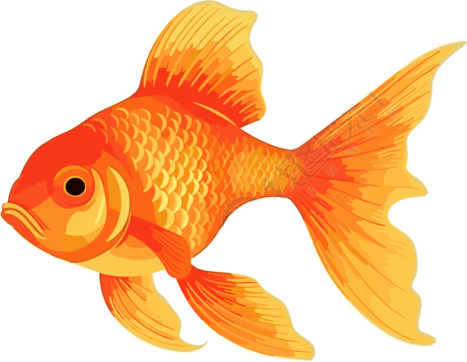金鱼PNG透明素材