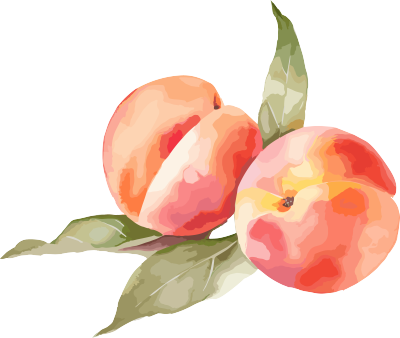 水彩粉色桃子元素