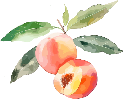 酸甜可口的桃子水彩画风格元素
