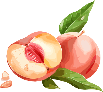 新鲜的水蜜桃透明背景插画