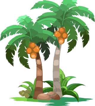 可商用高清PNG透明背景棕榈树素材