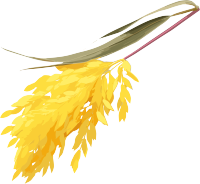 黄色大米叶子PNG素材