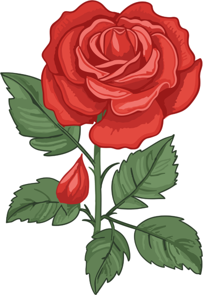 红玫瑰插画素材