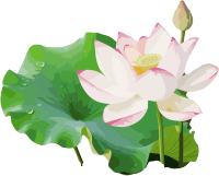 莲花与莲叶水彩元素